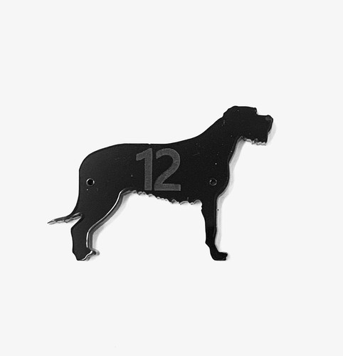 Irish wolfhound dog door house - dog,