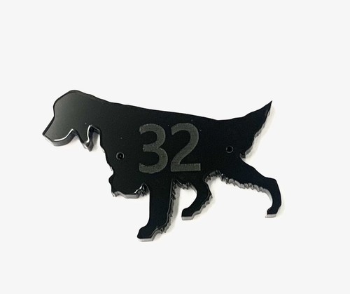 Irish setter dog - irish, house